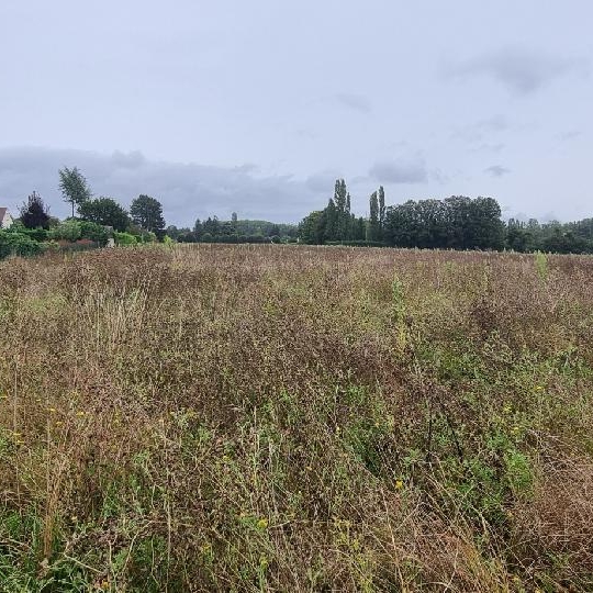  Annonces PROVINS : Terrain | COURLON-SUR-YONNE (89140) | 1 250 m2 | 37 500 &euro; 
