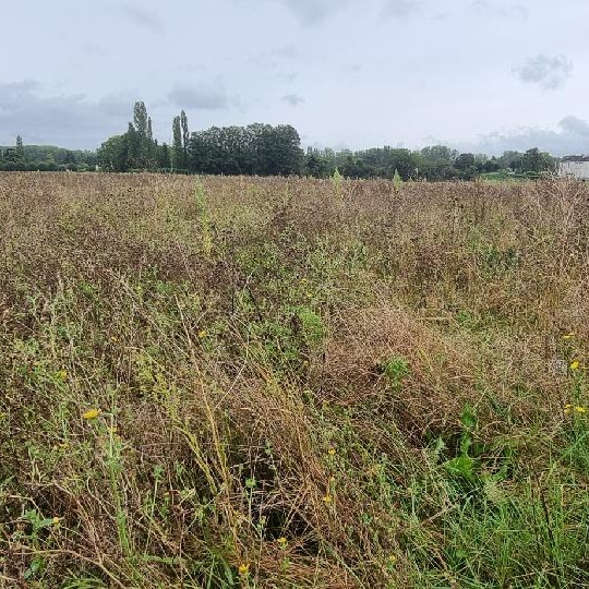  Annonces PROVINS : Terrain | COURLON-SUR-YONNE (89140) | 1 250 m2 | 37 500 &euro; 