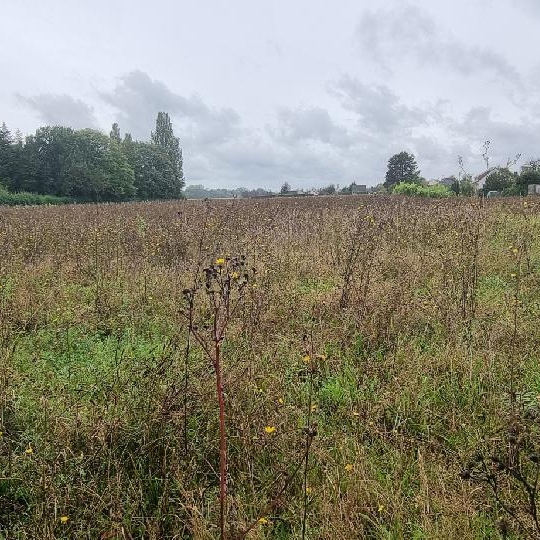  Annonces PROVINS : Terrain | COURLON-SUR-YONNE (89140) | 1 250 m2 | 37 500 &euro; 