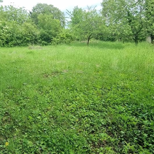  Annonces PROVINS : Maison / Villa | CHAMPIGNY (89340) | 62 m2 | 82 000 &euro; 