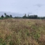  Annonces PROVINS : Terrain | COURLON-SUR-YONNE (89140) | 1 250 m2 | 37 500 &euro; 