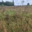  Annonces PROVINS : Terrain | COURLON-SUR-YONNE (89140) | 4 100 m2 | 37 500 &euro; 