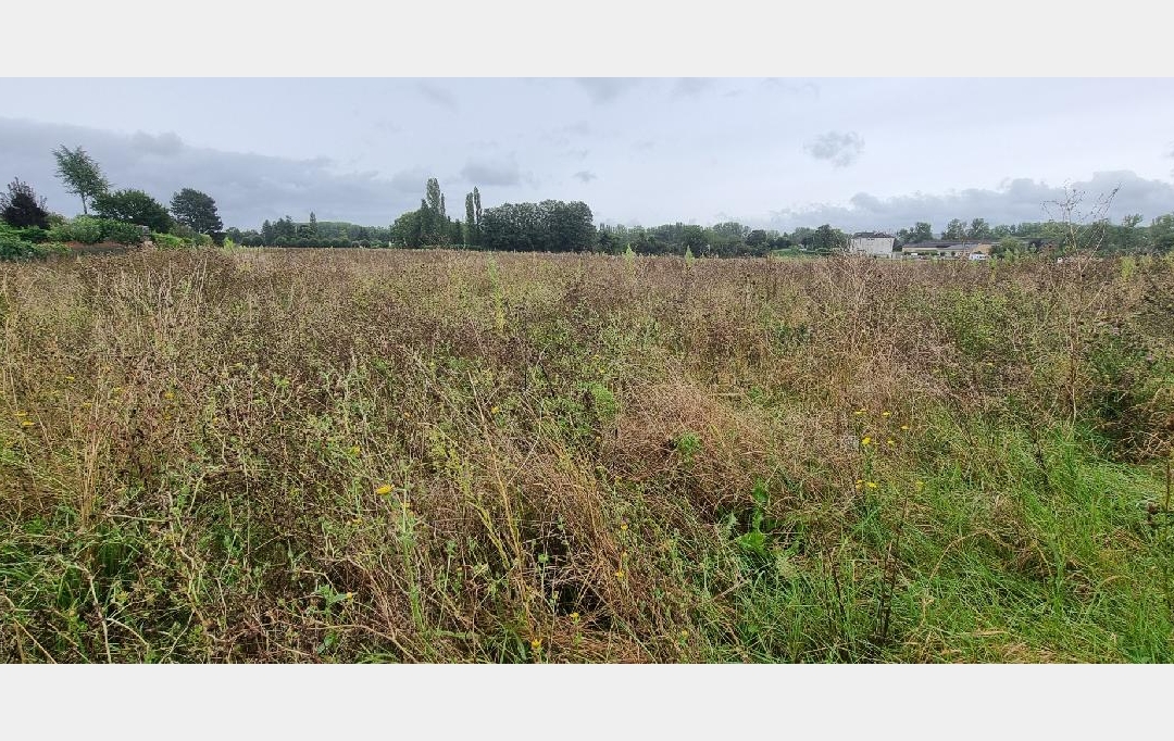 Annonces PROVINS : Terrain | COURLON-SUR-YONNE (89140) | 1 250 m2 | 37 500 &euro; 