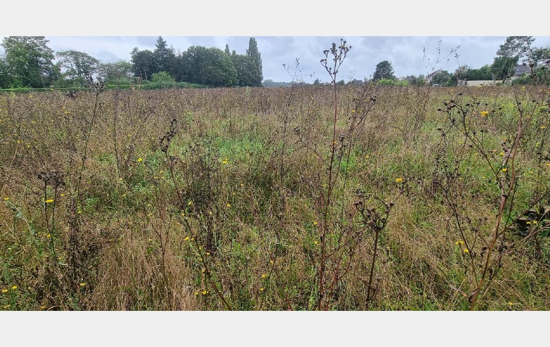 Annonces PROVINS : Terrain | COURLON-SUR-YONNE (89140) | 4 100 m2 | 37 500 &euro; 